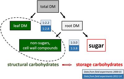 Yield Potential of Sugar Beet – Have We Hit the Ceiling?